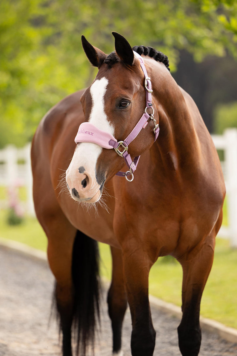 Indlæs billede i Gallery Viewer, SS26 Vogue Headcollar &amp; Leadrope Mallow
