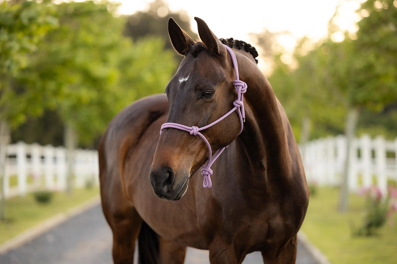 Indlæs billede i Gallery Viewer, SS26 Rope Halter Fondant
