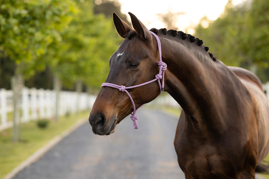 SS26 Rope Halter Fondant