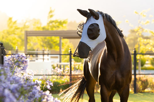 SS26 Bug Relief Full Fly Mask Powder Blue