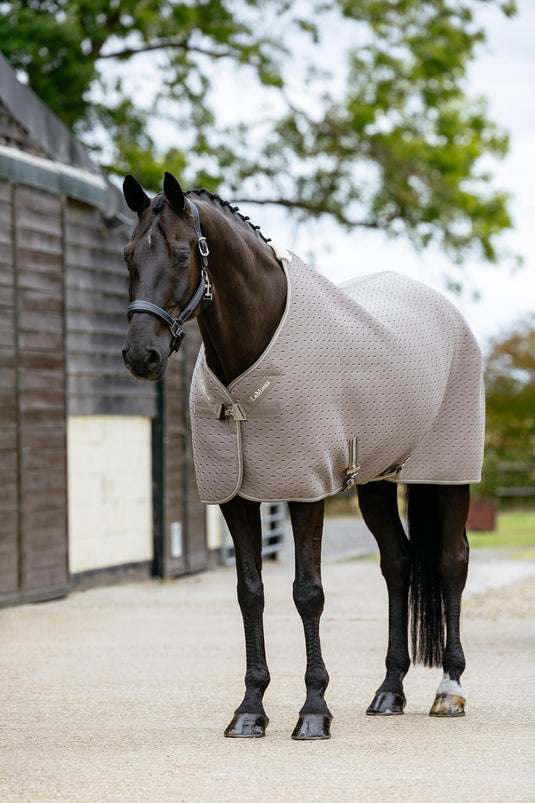 SS26 Kudos 3D Mesh Travel Rug Pecan