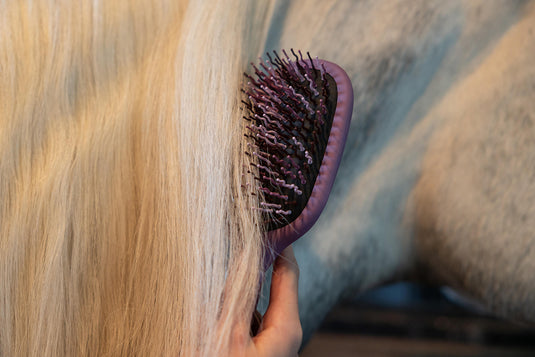 SS26 Tangle Tidy Mallow