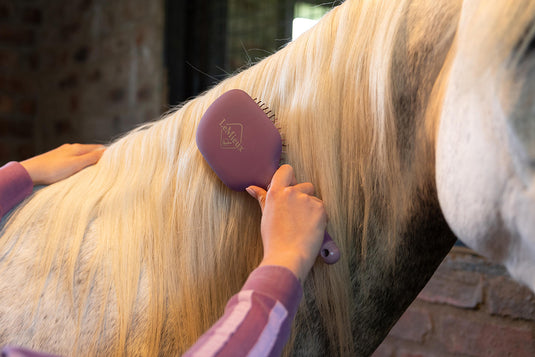 SS26 Tangle Tidy Mallow