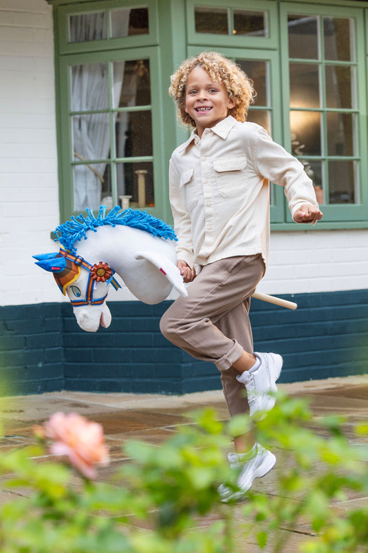 Disney Hobby Horse Pegasus
