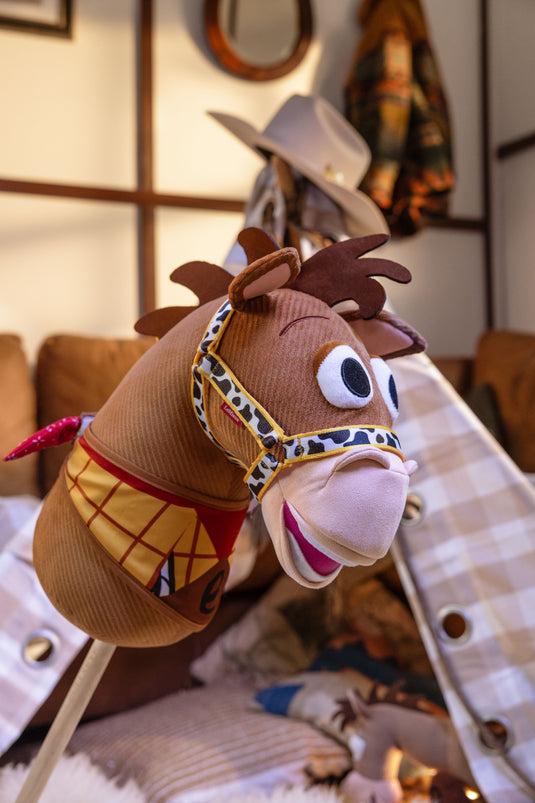 Disney Hobby Horse Bullseye