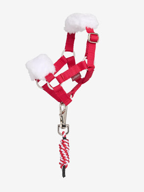 LM Toy Pony christmas headcollar  & leadrope