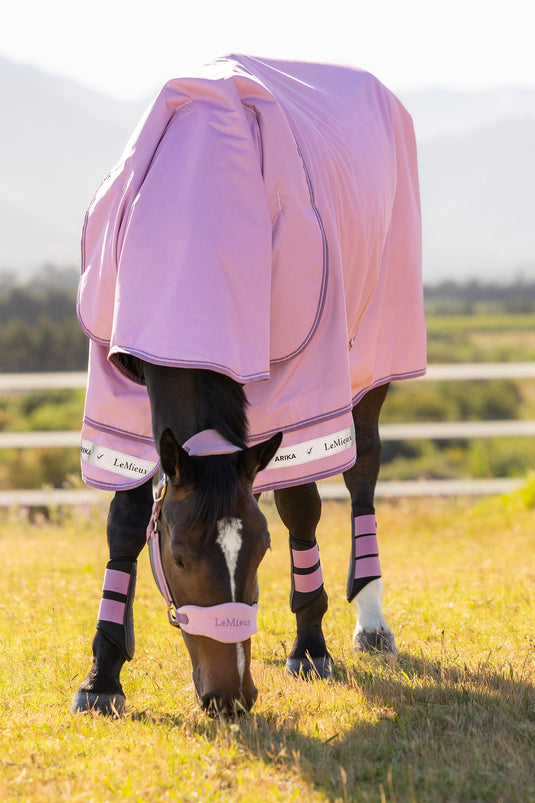 SS26 Arika Ripstop 50g Turnout Rug Fondant