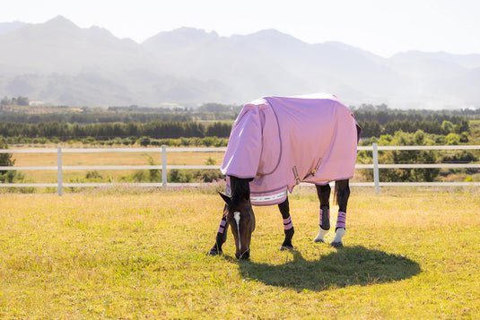 SS26 Arika Ripstop 0g Turnout Rug Fondant