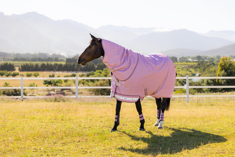 Indlæs billede i Gallery Viewer, SS26 Arika Ripstop 0g Turnout Rug Fondant
