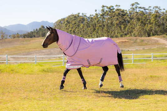 SS26 Arika Ripstop 50g Turnout Rug Fondant