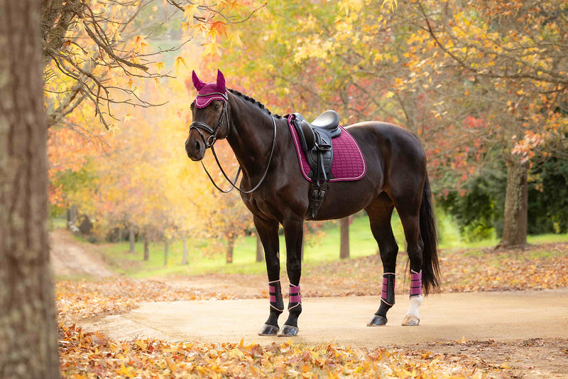 Indlæs billede i Gallery Viewer, Suede Dressage Square Blackberry
