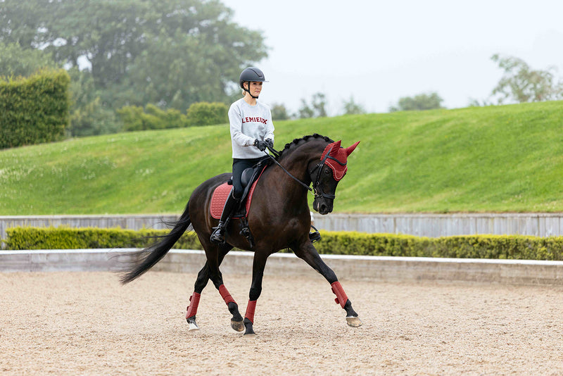 Indlæs billede i Gallery Viewer, Suede Dressage Square Russet
