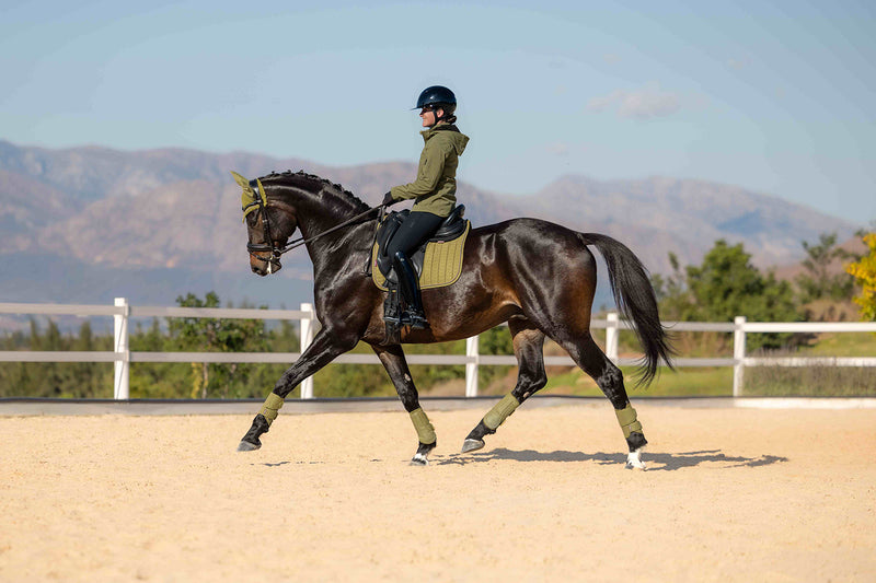 Indlæs billede i Gallery Viewer, Suede Dressage Square Gooseberry
