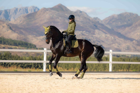 Suede Dressage Square Gooseberry