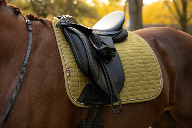 Indlæs billede i Gallery Viewer, Suede Dressage Square Gooseberry
