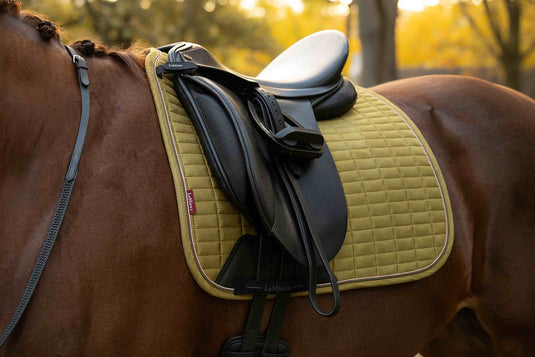 Suede Dressage Square Gooseberry