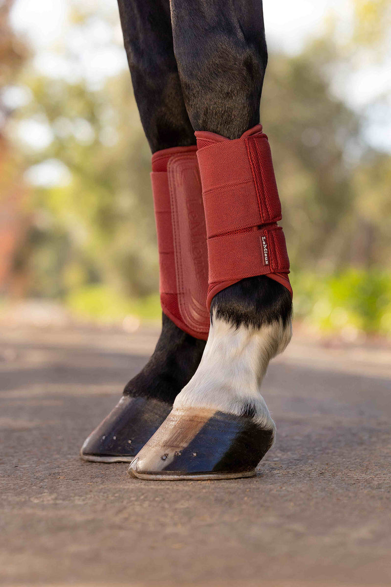 Indlæs billede i Gallery Viewer, Arika Mesh Brushing Boots Russet
