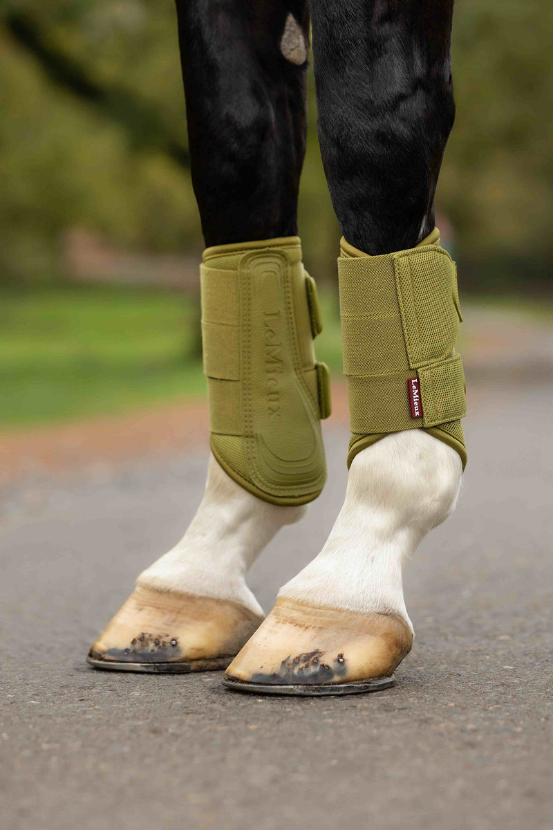 Indlæs billede i Gallery Viewer, Arika Mesh Brushing Boots Gooseberry
