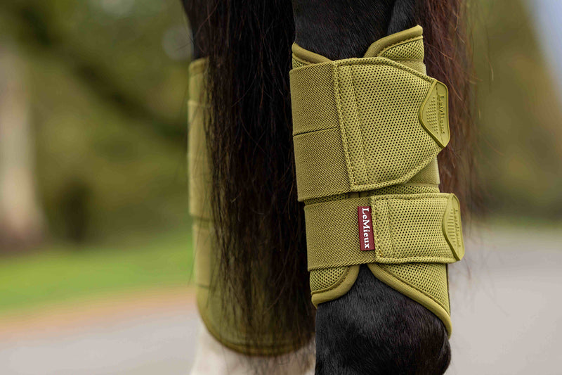 Indlæs billede i Gallery Viewer, Arika Mesh Brushing Boots Gooseberry
