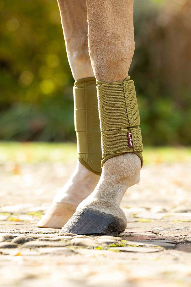 Indlæs billede i Gallery Viewer, Arika Mesh Brushing Boots Gooseberry
