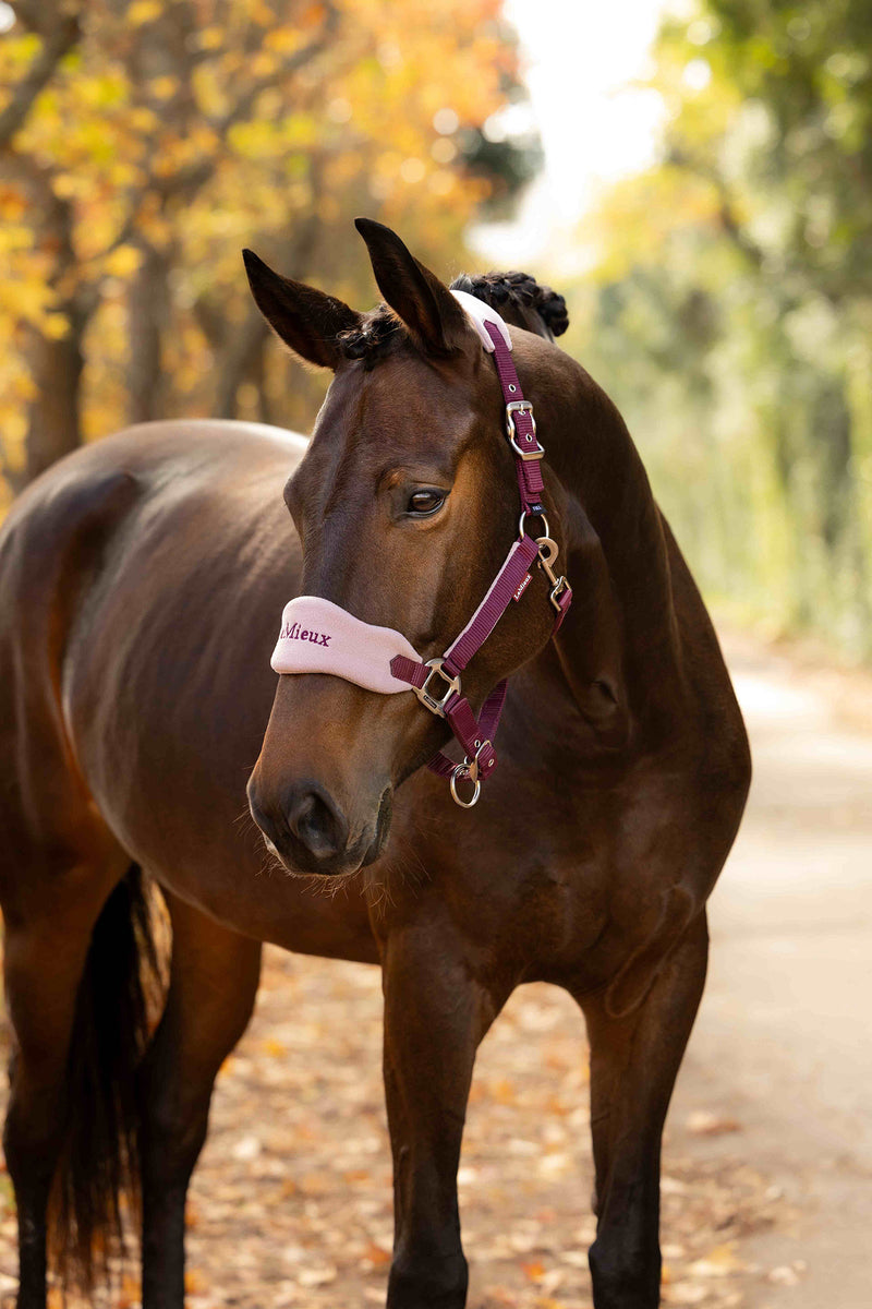 Indlæs billede i Gallery Viewer, Vogue Headcollar &amp; Leadrope Blackberry
