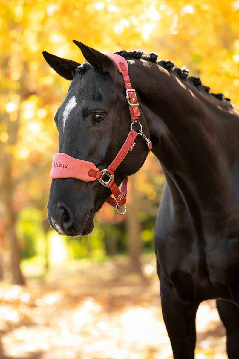 Indlæs billede i Gallery Viewer, Vogue Headcollar &amp; Leadrope Russet
