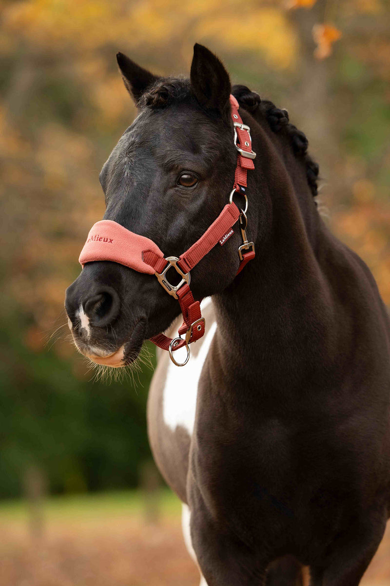 Indlæs billede i Gallery Viewer, Vogue Headcollar &amp; Leadrope Russet
