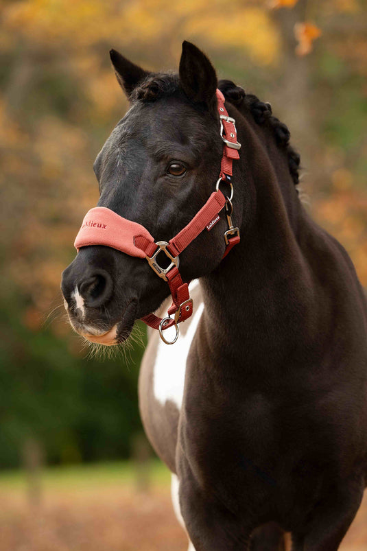 Vogue Headcollar & Leadrope Russet