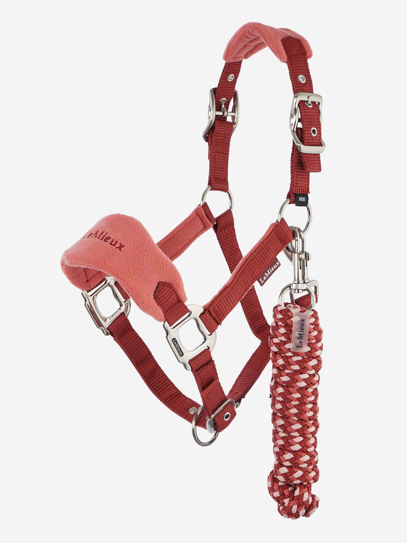 Indlæs billede i Gallery Viewer, Vogue Headcollar &amp; Leadrope Russet

