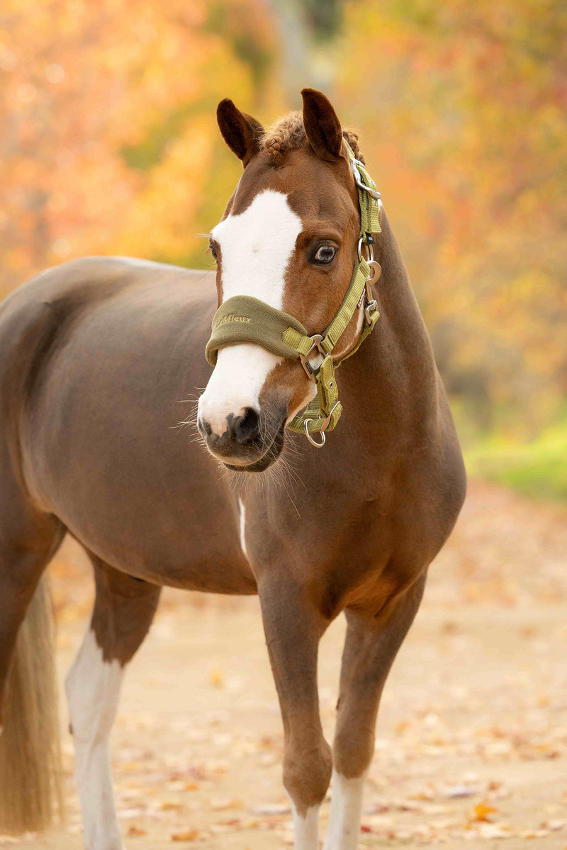 Indlæs billede i Gallery Viewer, Vogue Headcollar &amp; Leadrope Gooseberry

