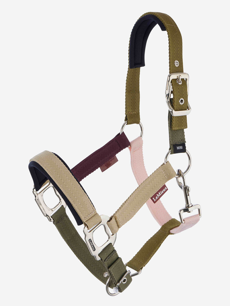 Indlæs billede i Gallery Viewer, Medley Headcollar Gooseberry/Pear/Petal
