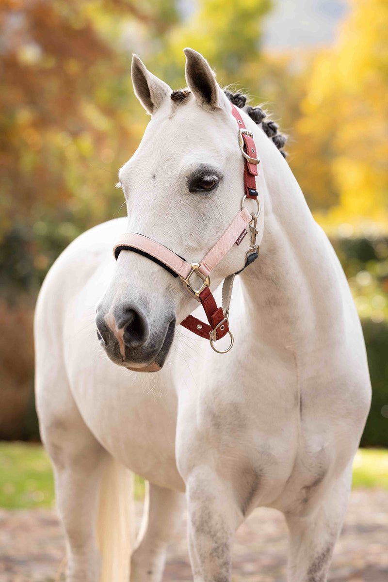 Indlæs billede i Gallery Viewer, Medley Headcollar Spiced Earth/Petal/Aloe

