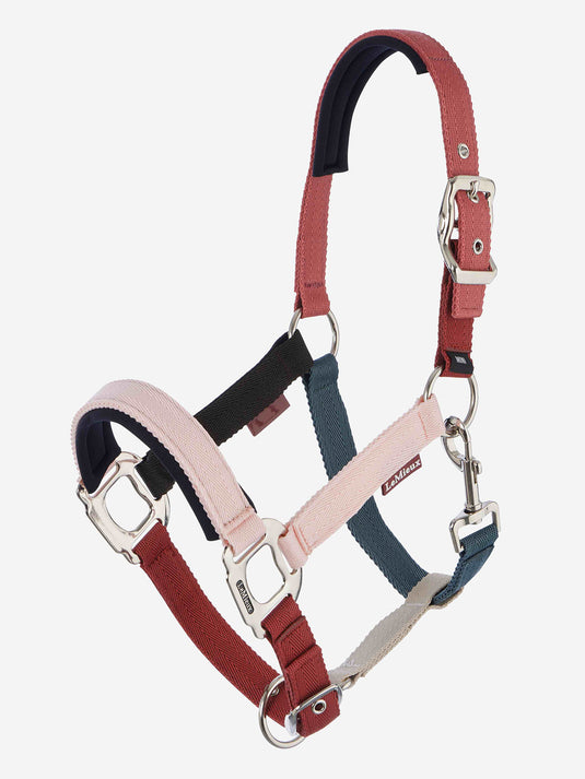 Medley Headcollar Spiced Earth/Petal/Aloe