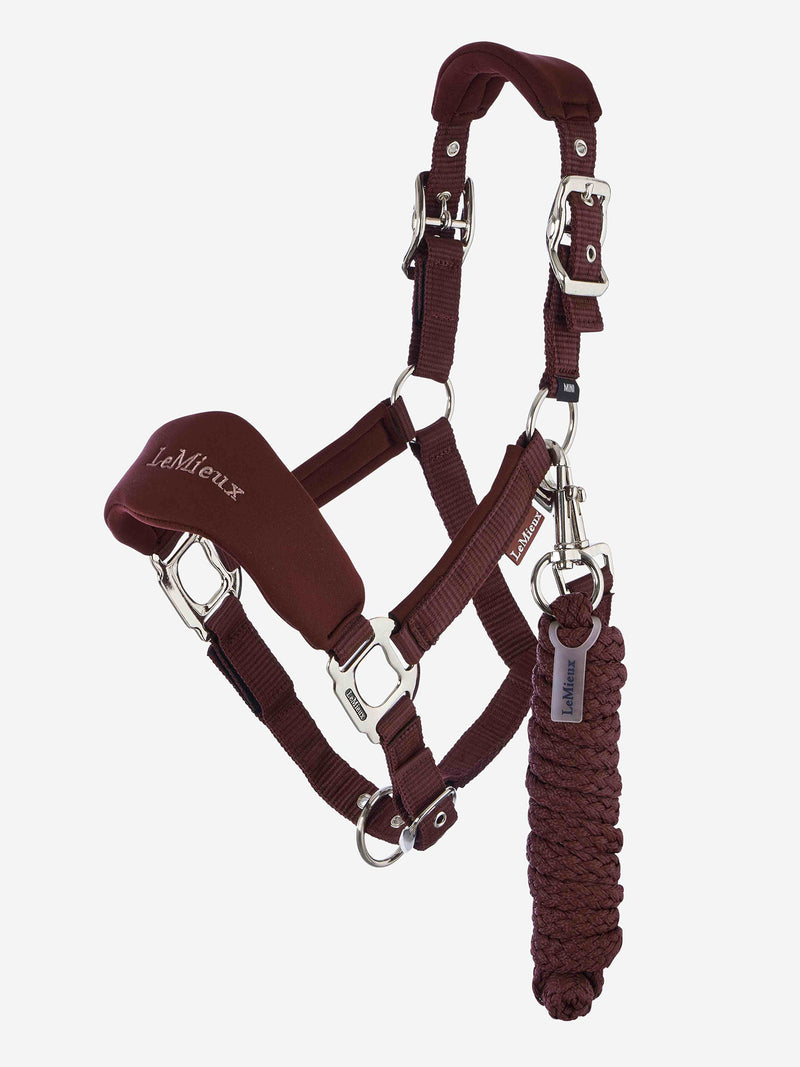 Indlæs billede i Gallery Viewer, Breakaway Vogue Headcollar &amp; Leadrope Bramble
