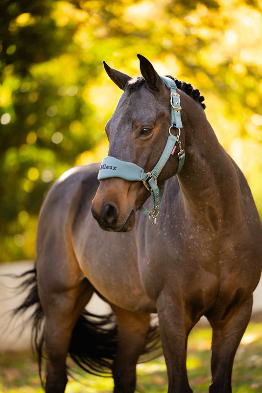Breakaway Vogue Headcollar & Leadrope Aloe