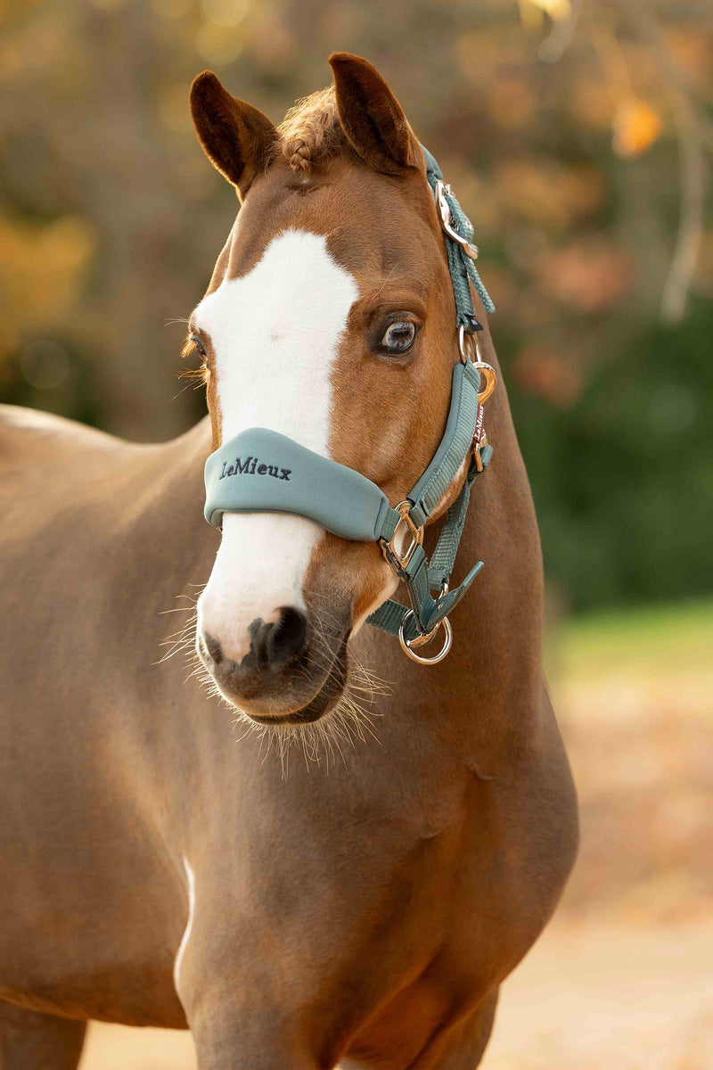 Indlæs billede i Gallery Viewer, Breakaway Vogue Headcollar &amp; Leadrope Aloe
