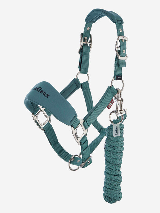 Breakaway Vogue Headcollar & Leadrope Aloe