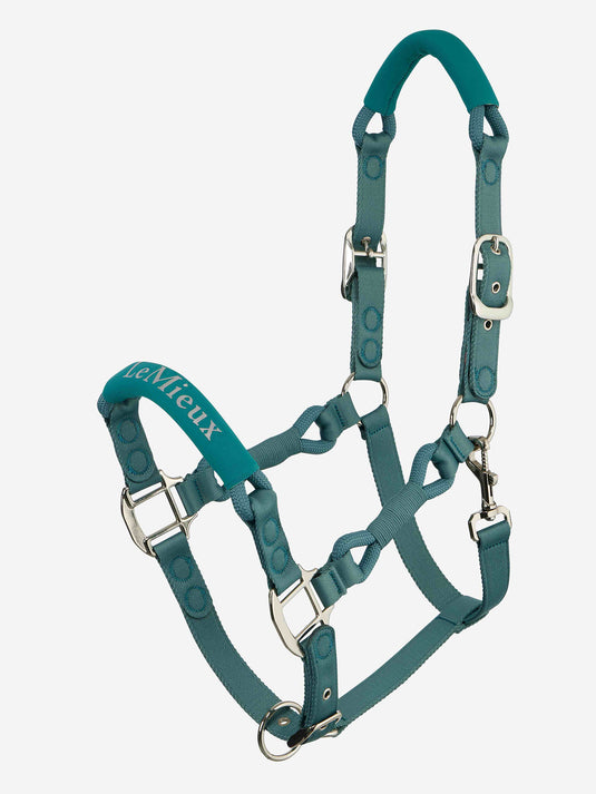 Nexus Headcollar Aloe