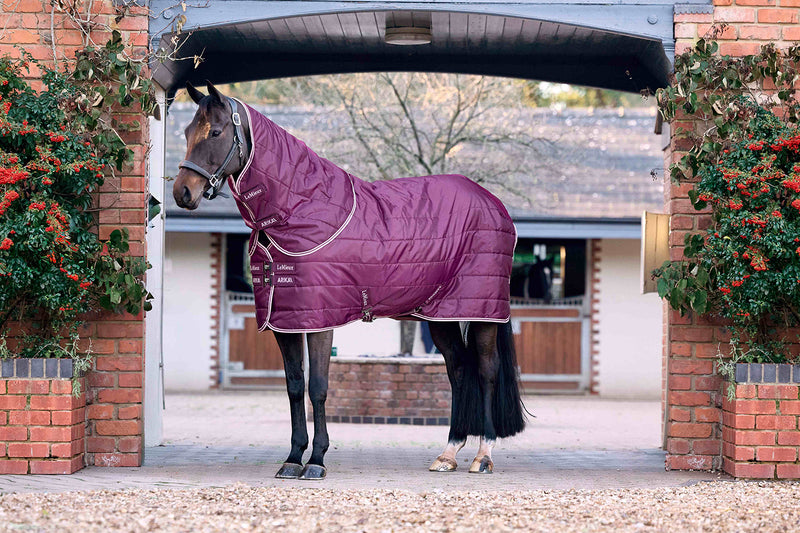 Indlæs billede i Gallery Viewer, Arika Stable-Tek with Neck 200g Blackberry
