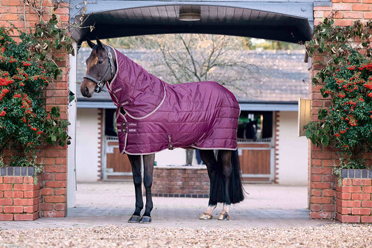Arika Stable-Tek with Neck 200g Blackberry