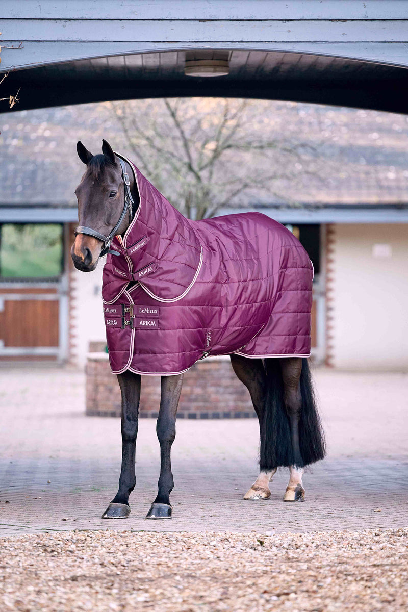 Indlæs billede i Gallery Viewer, Arika Stable-Tek with Neck 200g Blackberry
