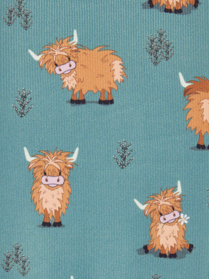 Indlæs billede i Gallery Viewer, Footsie Socks Highland Cow/Aloe

