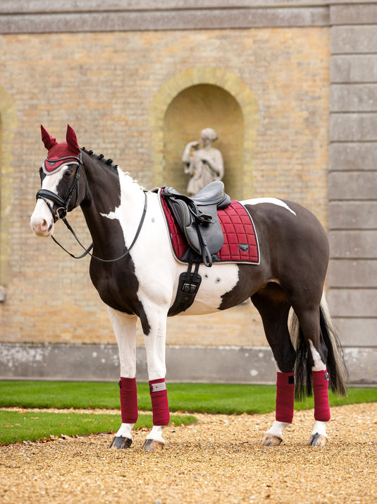 AW24 Loire Classic Dressage Square Ember