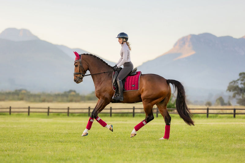 Indlæs billede i Gallery Viewer, AW24 Loire Classic Dressage Square Ember
