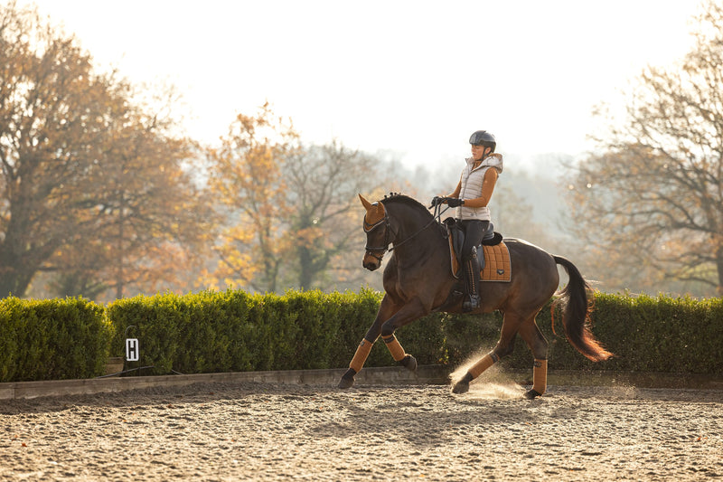 Indlæs billede i Gallery Viewer, AW24 Loire Classic Dressage Square Ginger

