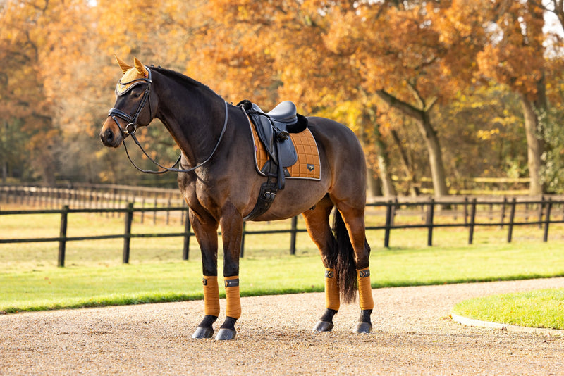 Indlæs billede i Gallery Viewer, AW24 Loire Classic Dressage Square Ginger

