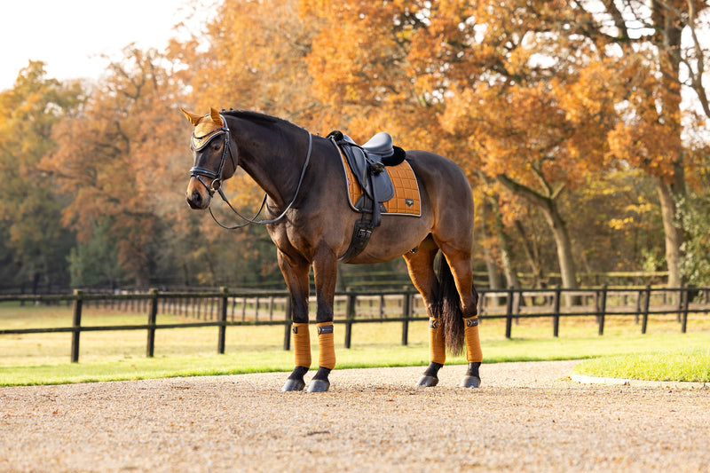 Indlæs billede i Gallery Viewer, AW24 Loire Classic Dressage Square Ginger
