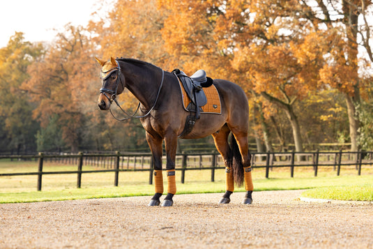 AW24 Loire Classic Dressage Square Ginger