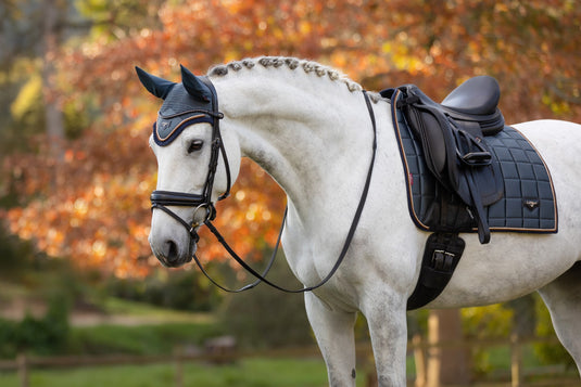 AW24 Loire Classic Dressage Square Petrol