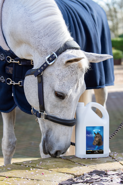 Indlæs billede i Gallery Viewer, NAF Oestress Liquid
